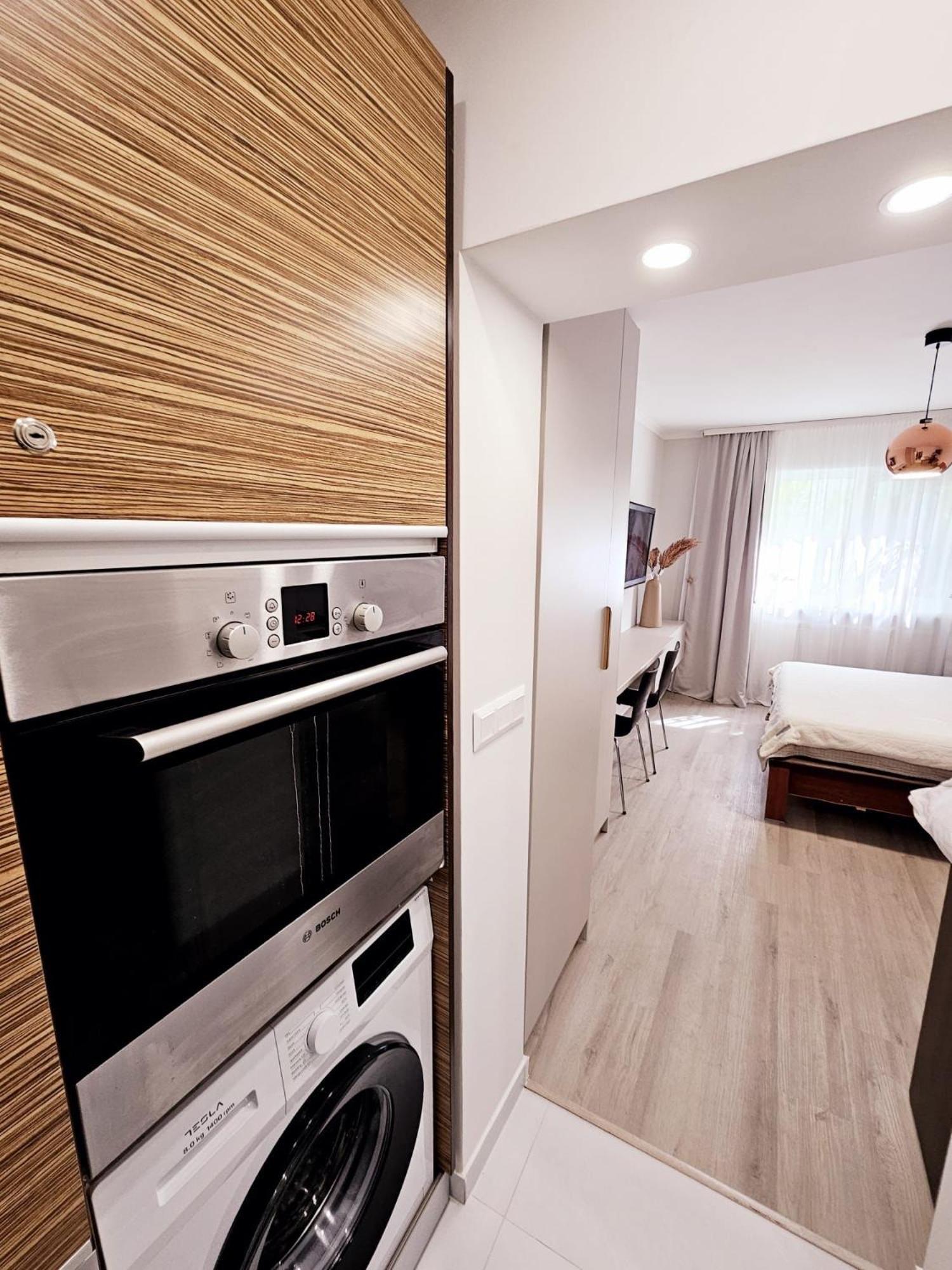 Monique'S Apartment 3 Temeşvar Dış mekan fotoğraf